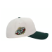 Кепка New Era Міннесота  Minnesota Wild All Star Game 2004 Chrome Two Tone Edition 9Forty A Frame Snapback