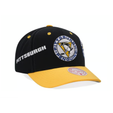 Кепка Mitchell & Ness «Пі́ттсбург Пі́нгвінс» Pittsburgh Penguins Vintage Logo Pro Crown Fit