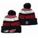 Шапка НХЛ «Детройт Ред Уїнгз»  Detroit Red Wings NHL cap