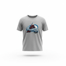 Чоловіча футболка Colorado Avalanche Ash Distressed Team Logo Tri-Blend
